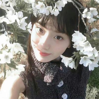 经典杯子蛋糕